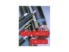 特種電纜應(yīng)用指南 從硅橡膠到氟塑料，解鎖工業(yè)核心連接方案