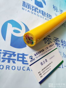 上海標柔聚氨酯電纜 聚氨酯高壓特種電纜制造廠家的技術標桿與行業賦能