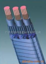 廣西貴港市群星電纜 特種電纜產品全覽與行業應用指南